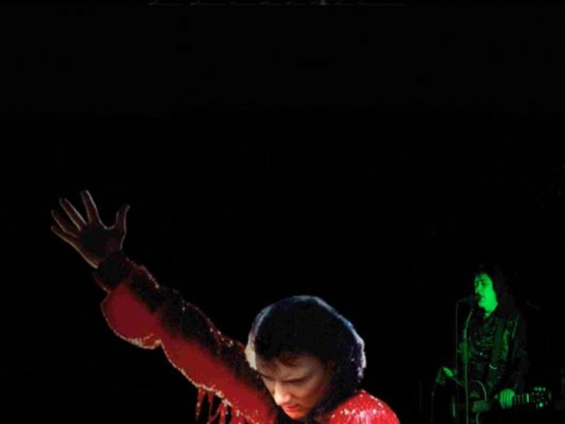 diamond nights neil diamond tribute